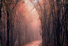 PG电子官网入口-硝烟再起！山东铁骑夜袭紫禁城，京鲁大战引爆CBA凛冬战火