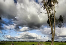 PG电子官方-疾风骤雨战梅斯塔利亚！瓦伦西亚铁血布阵迎击瓦拉多利德