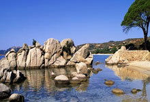 PG中国登录入口-塞维利亚主场风暴：皮斯胡安的红色浪潮如何成为西甲前进引擎