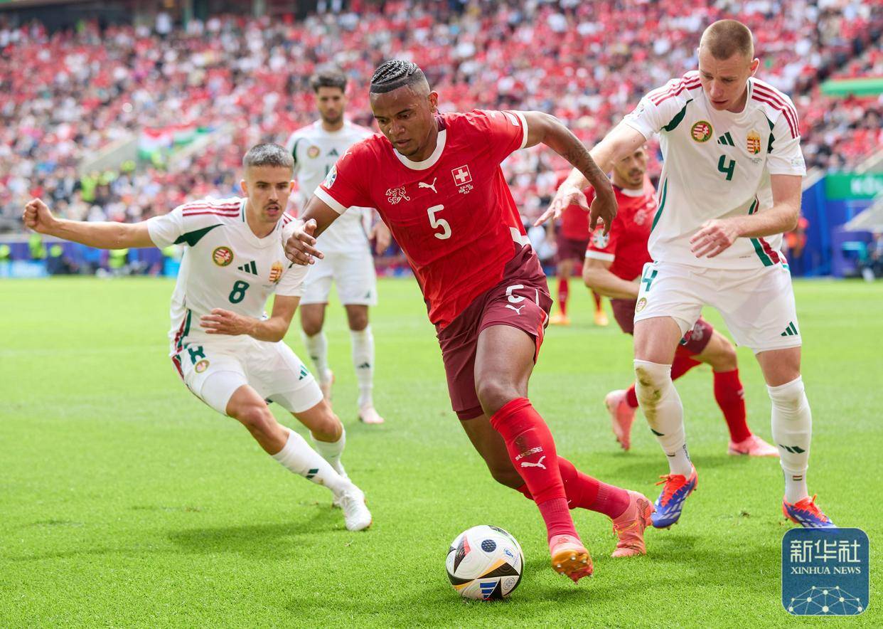 匈牙利队在比赛中披荆斩棘 匈牙利队在比赛中披荆斩棘