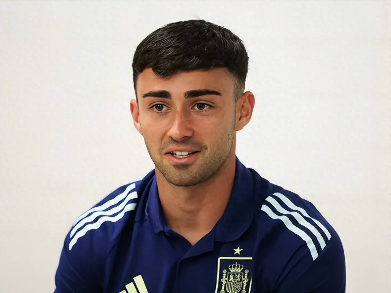 西班牙轻取斯洛伐克,提前晋级八强 西班牙轻取斯洛伐克,提前晋级八强