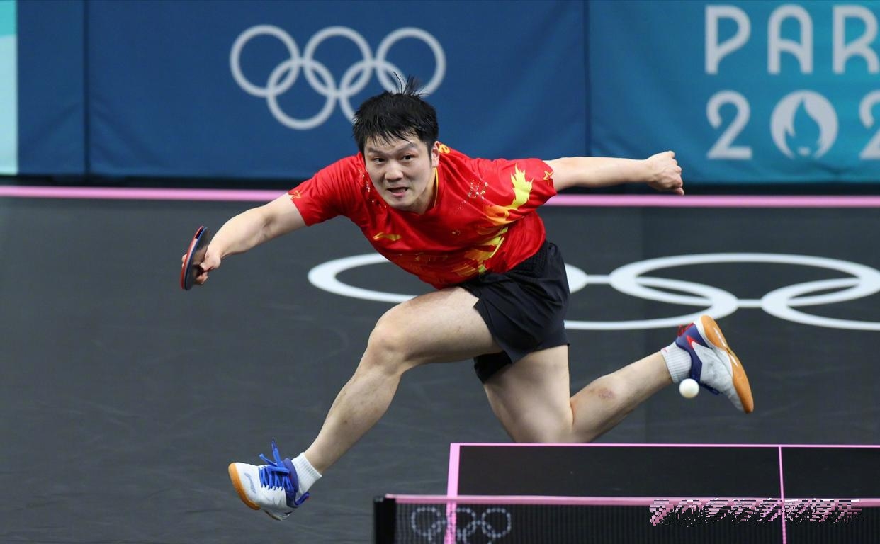 PG电子线上登入-德国乒乓球队逆转法国乒乓球队，樊振东惊艳世界的简单介绍